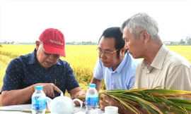 GS Võ Tòng Xuân (ngoài cùng bên trái) trò chuyện cùng nông dân, doanh nghiệp trong lần đi thăm đồng. Ảnh: H. VŨ