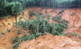 Núi đồi tuôn chảy biến cả quả đồi thành vực sâu. Ảnh: Trương Định