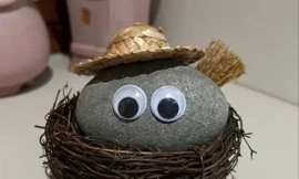  “Đá cưng” được bạn trẻ “nuôi” 