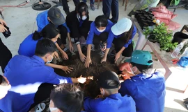 Các chiến sĩ Mùa hè xanh của Đoàn trường ĐH Sư phạm hướng dẫn và chuyển giao kỹ thuật ươm cây giống cho ĐVTN xã Duy Phước (huyện Duy Xuyên, tỉnh Quảng Nam)