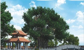 Hồ Văn và gò Kim Châu tương lai