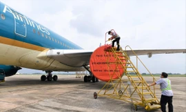 Các hãng vẫn còn khoảng 10% máy bay chưa đưa vào khai thác, động cơ của máy bay được phủ bạt bảo vệ