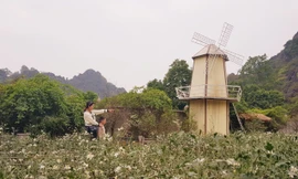 Một góc dự án Khu du lịch Động Tiên Sơn đã được doanh nghiệp đầu tư