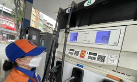 Giá xăng dầu ở Việt Nam biến động 20-39%. ẢNH: Như Ý