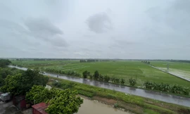 Khu đất nghĩa trang cát táng có tên Bảo Lạc Viên (tại xã Long Châu, huyện Yên Phong, tỉnh Bắc Ninh) hiện chỉ là đất ruộng của người dân