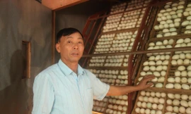 Ông Mùi thu tiền tỷ từ trang trại nuôi vịt