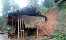 Đất đồi sạt lở làm sập một phần nhà dân ở xã Châu Khê, huyện Con Cuông (Nghệ An)