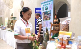 Vườn tre bốn mùa của gia đình bà Sang