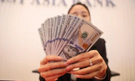 Doanh nghiệp thủy sản chủ yếu vay USD để giao dịch với khách hàng quốc tế. Ảnh: Ngọc Mai