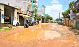 Đoạn đường Hùng Vương nhếch nhác, lắm ổ voi, gà