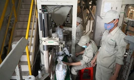 DN nhỏ là đối tượng “chết” nhiều nhất. Ảnh: Như Ý