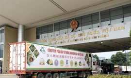 Trong 11 tháng, xuất khẩu hàng hóa Việt Nam sang Trung Quốc đạt 55,5 tỷ USD, tăng 6,2% so với cùng kỳ năm ngoái