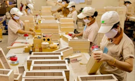 Nhiều DN chế biến xuất khẩu gỗ phải ngưng sản xuất do thiếu nguyên liệu