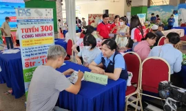 Sinh viên tìm việc làm tại Ngày hội việc làm cuối tháng 11/2024