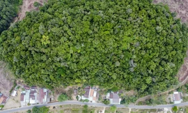 Hòn Cấm vẫn uy nghiêm tồn tại hàng trăm năm nay theo kiểu làng trong rừng và rừng giữa làng. Ảnh: Trương Định