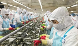 Doanh nghiệp cần vốn vay để khôi phục sản xuất, kinh doanh. Ảnh: Nam Khánh