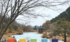 Những cành cây trơ trọi không làm mất vẻ lãng mạn của mùa đông xứ Hàn