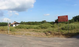 Một trong những khu đất của Công ty Alibaba ở huyện Long Thành (Đồng Nai) đang bị kê biên. Ảnh: ĐN