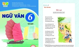 Giá trị của bài thơ “Bắt nạt” trong sách Ngữ Văn lớp 6 nằm ở tính gây tranh cãi