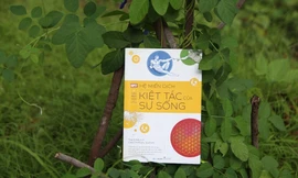 Hệ miễn dịch - Kiệt tác của sự sống: “Vắc xin” sống khỏe giúp sạc tinh thần giữa mùa dịch