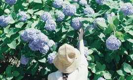 Bạn đọc sáng tác: Trưởng thành là chấp nhận bản thân không hoàn hảo và vị tha điều đó