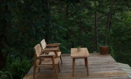 Khám phá những quán cà phê ẩn mình sâu trong các cánh rừng Đà Lạt: Rất xanh và bình yên