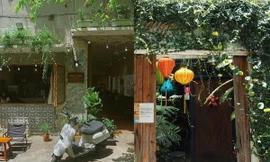 Những quán cà phê chơi hệ “ẩn nấp": Tinh hoa yên tĩnh hội tụ, Gen Z rất yêu