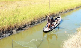 Mô hình sinh kế tôm-lúa quản lý cộng đồng thích ứng biến đổi khí hậu ở Kiên Giang 