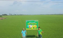 20 năm liên tiếp PVFCCo được tôn vinh Hàng Việt Nam chất lượng cao 