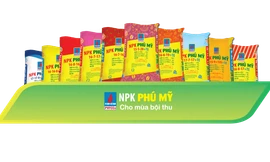 NPK Phú Mỹ: Hoàn thiện bộ sản phẩm 'thấu hiểu' ruộng đồng 
