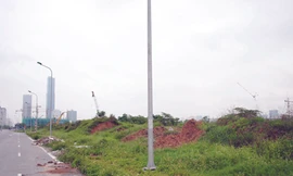 Cỏ dại mọc lút 'tháp cao nhất Việt Nam'