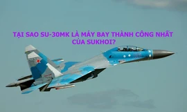 Tại sao Su-30MK là máy bay thành công nhất của Sukhoi? 