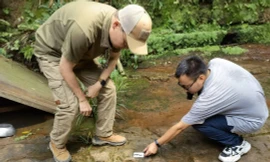 Trung Quốc: Phát hiện dấu chân khủng long tại một nhà hàng ở Tứ Xuyên