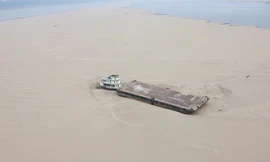 Sông Amazon trải qua điều chưa từng thấy 