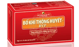 Bổ khí thông huyết BVP đạt danh hiệu Ngôi sao thuốc Việt 2014
