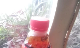 Phát hiện chất lạ trong chai trà Dr Thanh