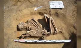 Phát hiện bộ xương 7.000 năm tuổi được bảo quản hoàn hảo ở Ba Lan 