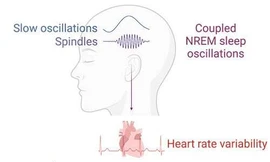 Nghiên cứu mới mở ra triển vọng điều trị bệnh tiểu đường