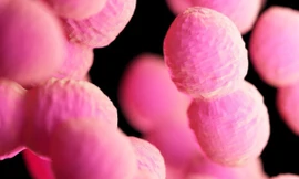 Sắp có loại kháng sinh 'biến hình' chống lại siêu vi khuẩn chết người 