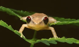 Những hậu quả không ngờ do biến đổi khí hậu 