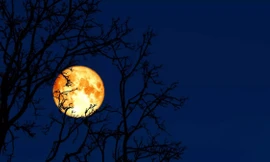 Tại sao trăng rằm tháng 2 được gọi là Trăng giun? 