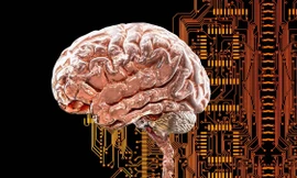 Phát hiện mạng lưới não bí ẩn có thể gây ra nhiều chứng rối loạn tâm thần 