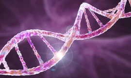 Đứa trẻ đầu tiên ở Anh được điều trị bằng liệu pháp gien cho chứng rối loạn di truyền gây tử vong 