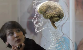 Con người sử dụng bao nhiêu phần trăm bộ não mỗi ngày?