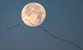 Trăng lạnh - Kỳ trăng tròn cuối cùng của năm 2023 