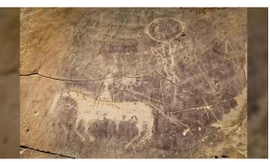 Ngựa 'thần thánh' ở miền Tây nước Mỹ được sử dụng sớm hơn nửa thế kỷ so với suy nghĩ trước đây