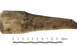 Tìm thấy "đồ chơi tình dục" ở pháo đài La Mã? 