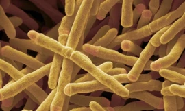 Phát hiện enzyme có thể biến không khí thành năng lượng 