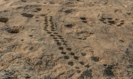 Những biểu tượng bí ẩn ở sa mạc Qatar 