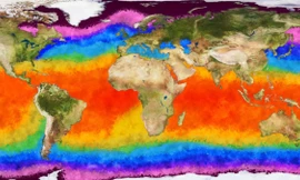 Năm nay chắc chắn sẽ xảy ra hiện tượng El Nino, có thể có các cơn bão nhiệt đới khủng khiếp 